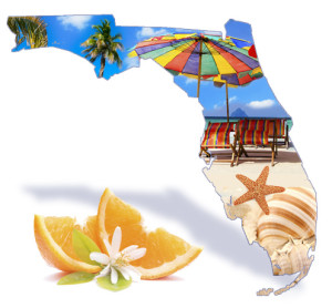 Florida state graphic